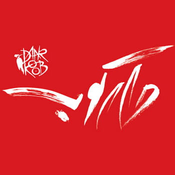 گروه دارکوب